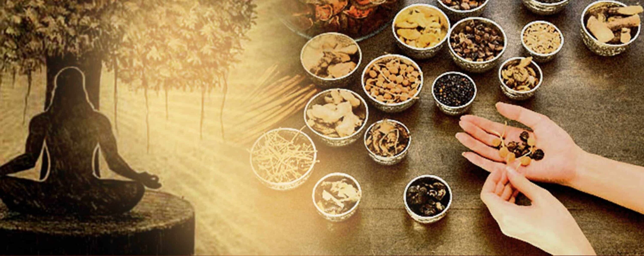 Ayurveda BAMS Ayurveda BAMS