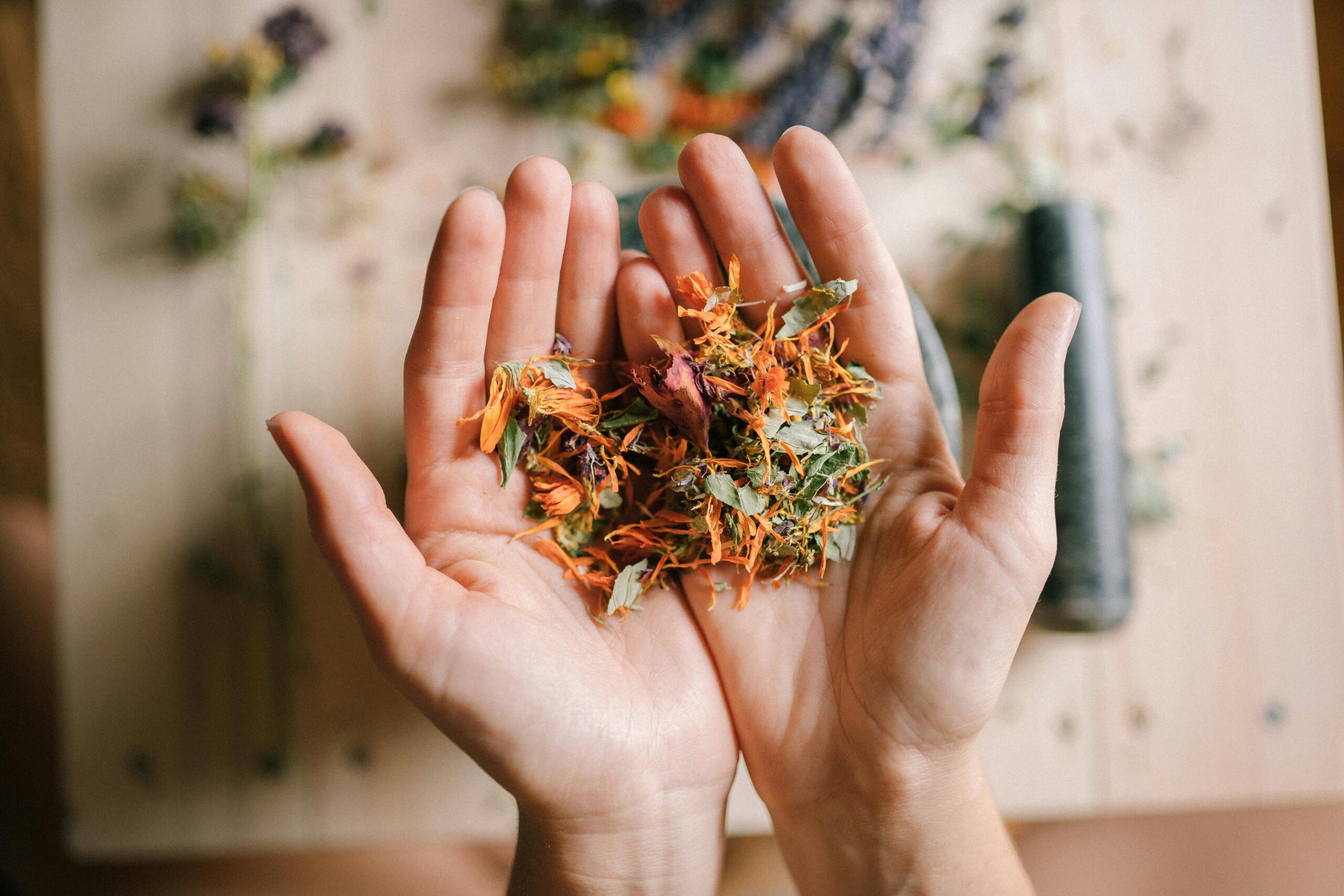 Close-up of hands holding a mix of vibrant dried herbs on a wooden surface. Close-up of hands holding a mix of vibrant dried herbs on a wooden surface.
