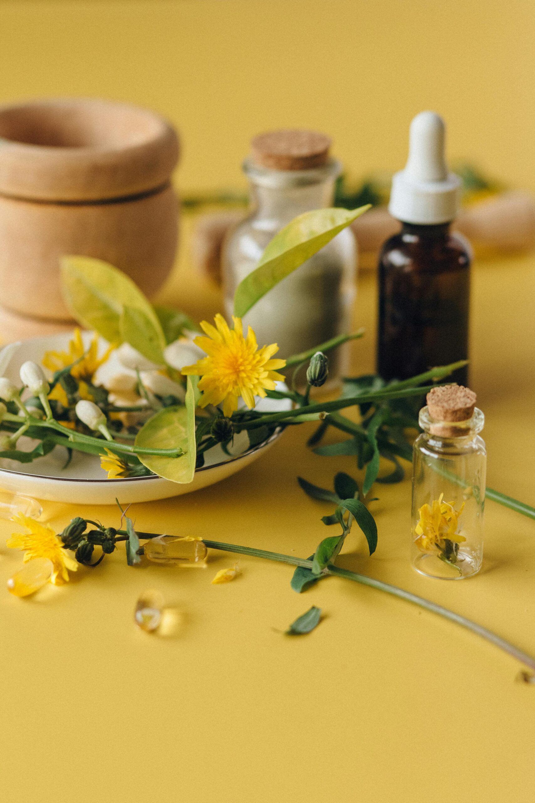 Dried herbs and essential oils on a yellow background, perfect for natural health concepts. Dried herbs and essential oils on a yellow background, perfect for natural health concepts.